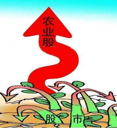 中央一號(hào)文件來(lái)了！連續(xù)16年聚焦同一主題 這些農(nóng)業(yè)股聞風(fēng)先動(dòng)