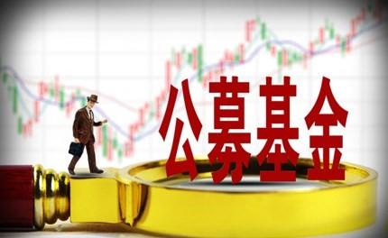 公募基金引領風向 A股專業(yè)投資駛入發(fā)展快車道